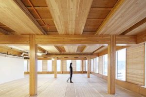 Why Build Wooden Skyscrapers? Environmental and Architectural Advantages | Discover the World's Most Iconic Skyscrapers: Architecture, Design, and Innovation