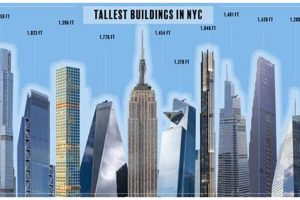 Height of New York Skyscrapers: Engineering Marvels Piercing the Sky Discover the World's Most Iconic Skyscrapers: Architecture, Design, and Innovation Height of New York Skyscrapers: Engineering Marvels Piercing the Sky | Discover the World's Most Iconic Skyscrapers: Architecture, Design, and Innovation