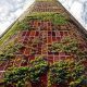 The Ultimate Guide to Plant Skyscrapers: Revolutionizing Urban Agriculture | Discover the World's Most Iconic Skyscrapers: Architecture, Design, and Innovation