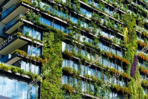 Skyscraper Plants: The Definitive Guide for a Greener Home Discover the World's Most Iconic Skyscrapers: Architecture, Design, and Innovation Skyscraper Plants: The Definitive Guide for a Greener Home | Discover the World's Most Iconic Skyscrapers: Architecture, Design, and Innovation