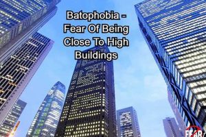 Conquer Your Fear of Heights: Understanding and Overcoming Megalophobia Discover the World's Most Iconic Skyscrapers: Architecture, Design, and Innovation Conquer Your Fear of Heights: Understanding and Overcoming Megalophobia | Discover the World's Most Iconic Skyscrapers: Architecture, Design, and Innovation