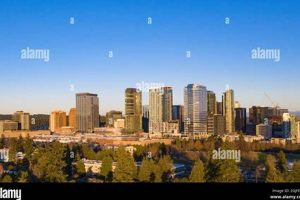 Bellevue Skyscrapers: Shaping the Skyline, Driving Innovation Discover the World's Most Iconic Skyscrapers: Architecture, Design, and Innovation Bellevue Skyscrapers: Shaping the Skyline, Driving Innovation | Discover the World's Most Iconic Skyscrapers: Architecture, Design, and Innovation