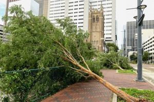 Hurricane-Proof Skyscrapers: Can They Withstand Nature's Fury? | Discover the World's Most Iconic Skyscrapers: Architecture, Design, and Innovation