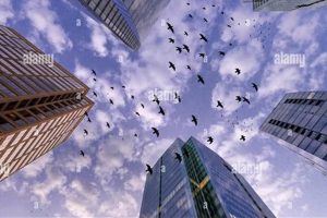 A Bird's-Eye View: Understanding and Mitigating Bird Collisions with Skyscrapers Discover the World's Most Iconic Skyscrapers: Architecture, Design, and Innovation A Bird's-Eye View: Understanding and Mitigating Bird Collisions with Skyscrapers | Discover the World's Most Iconic Skyscrapers: Architecture, Design, and Innovation