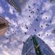 A Bird's-Eye View: Understanding and Mitigating Bird Collisions with Skyscrapers | Discover the World's Most Iconic Skyscrapers: Architecture, Design, and Innovation